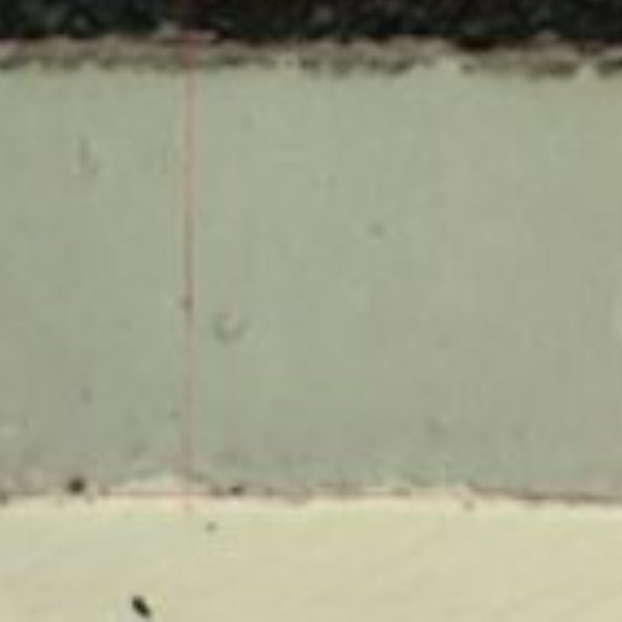 WC-Co cross-section