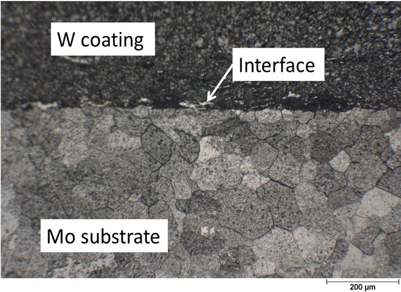 Micrograph of a tungsten coating on a molybdenum substrate — substrate grain structure unchanged across the interface